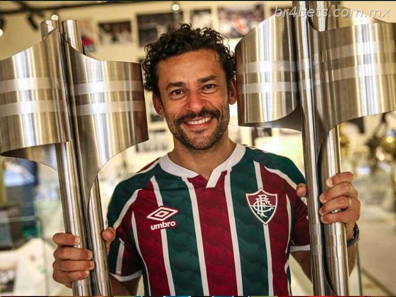 Fred no campeonato brasileiro